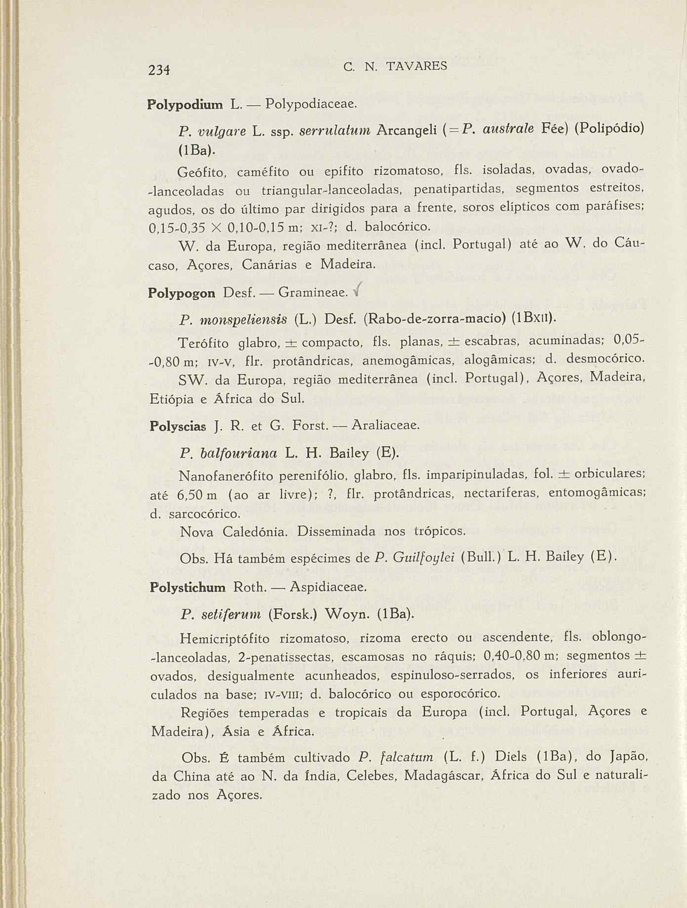 07485.004.001- pag.261