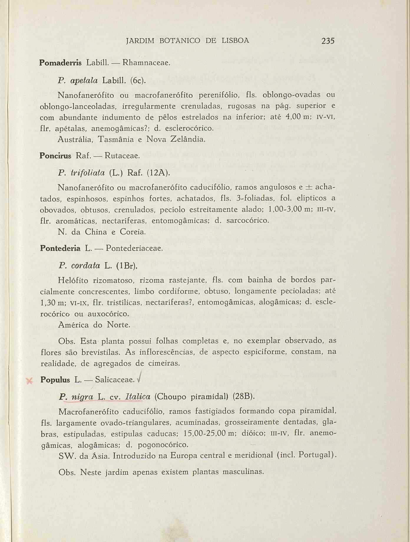 07485.004.001- pag.262