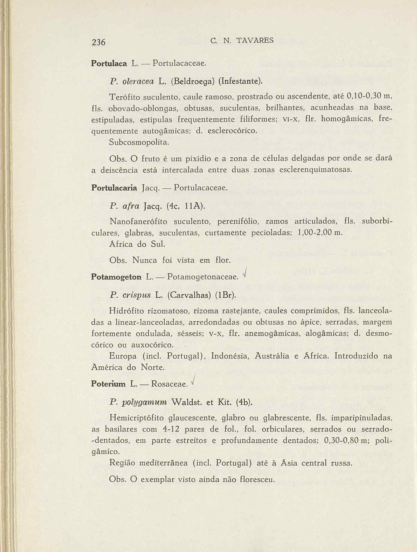 07485.004.001- pag.263