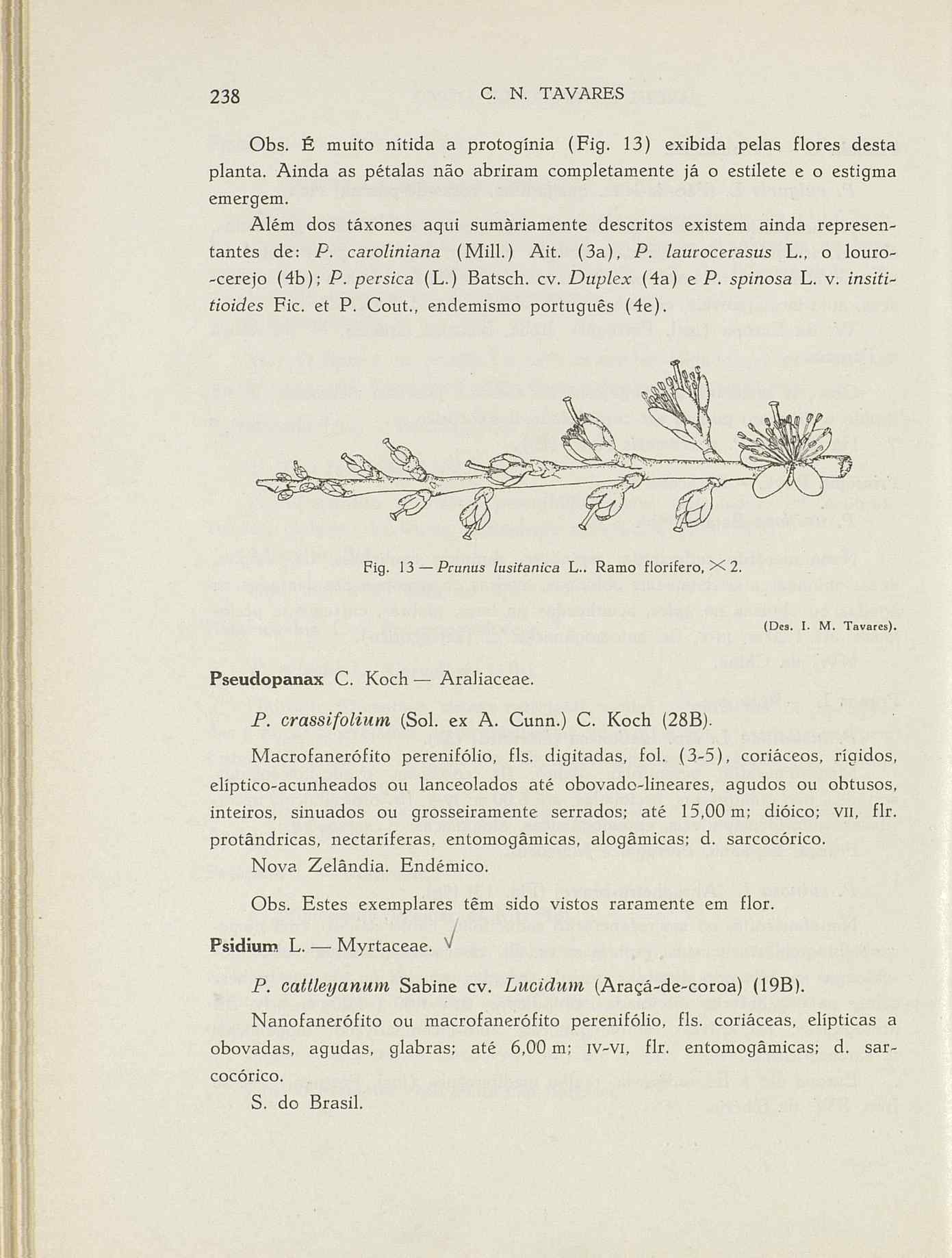 07485.004.001- pag.265