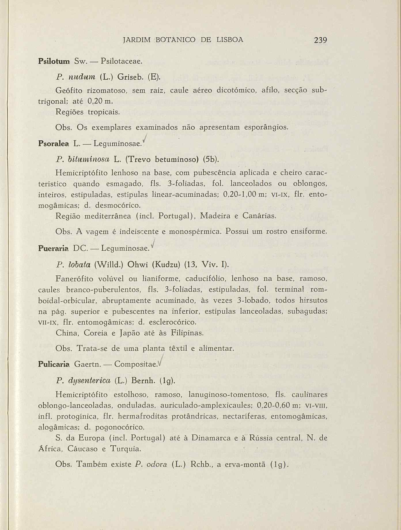 07485.004.001- pag.266