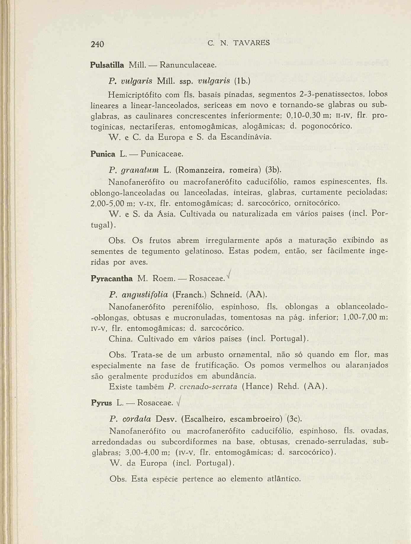 07485.004.001- pag.267