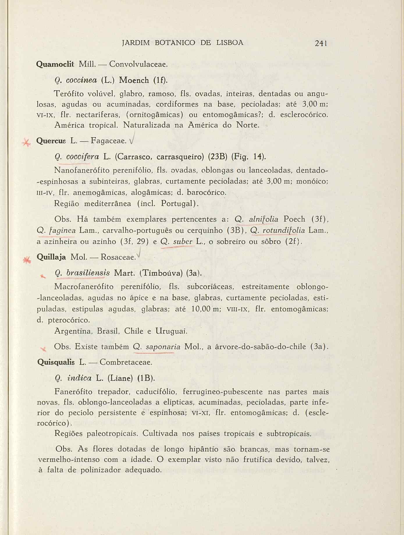 07485.004.001- pag.268