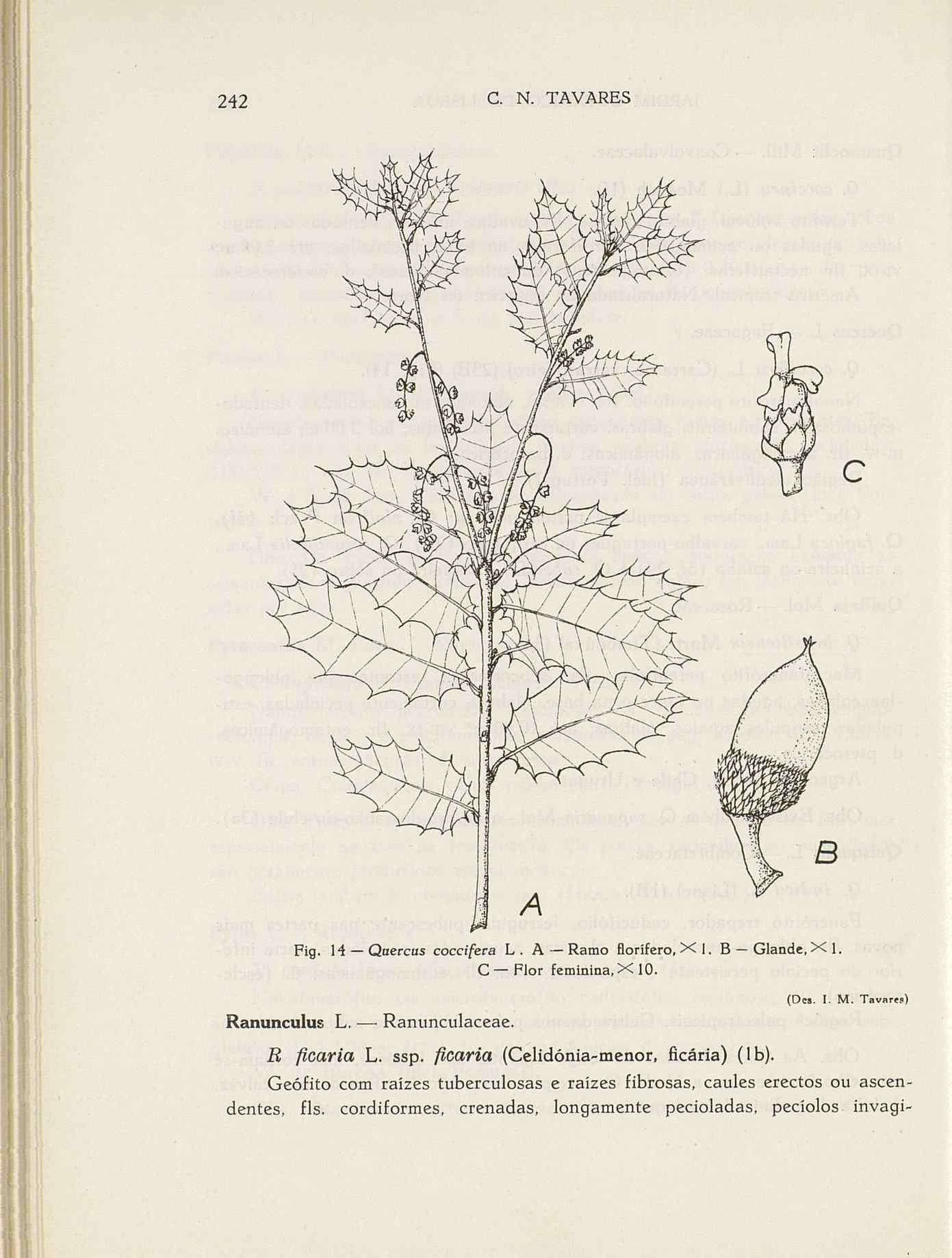 07485.004.001- pag.269