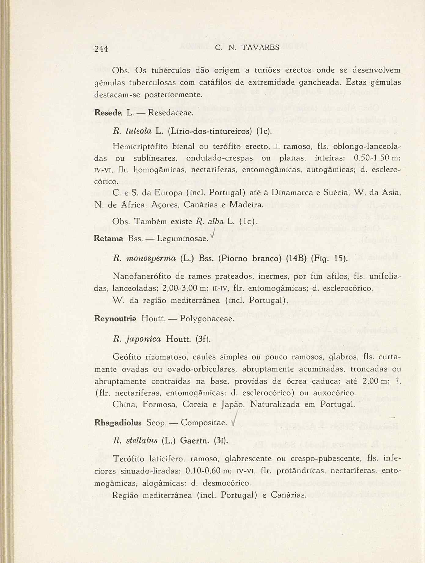 07485.004.001- pag.271