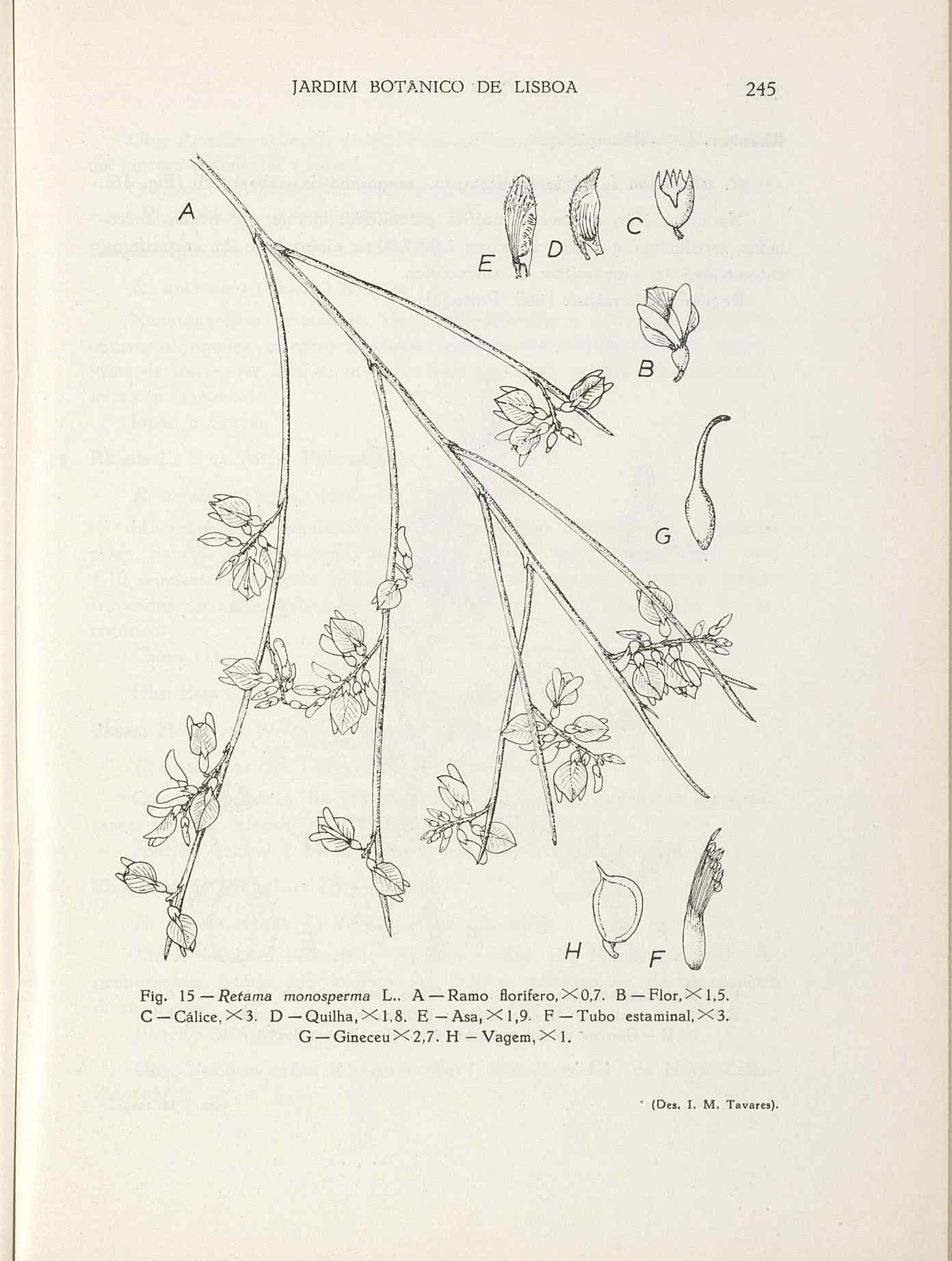 07485.004.001- pag.272