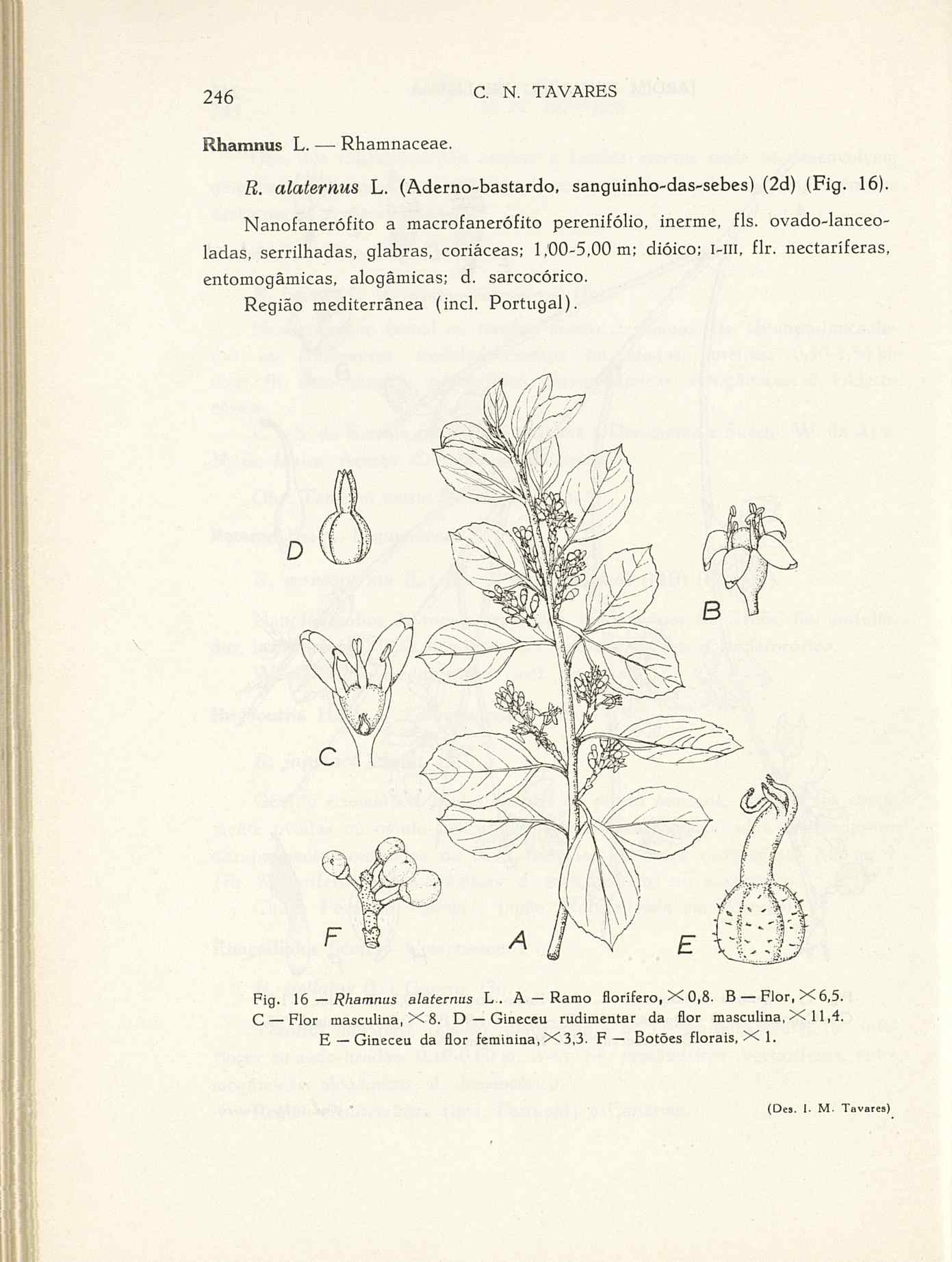 07485.004.001- pag.273