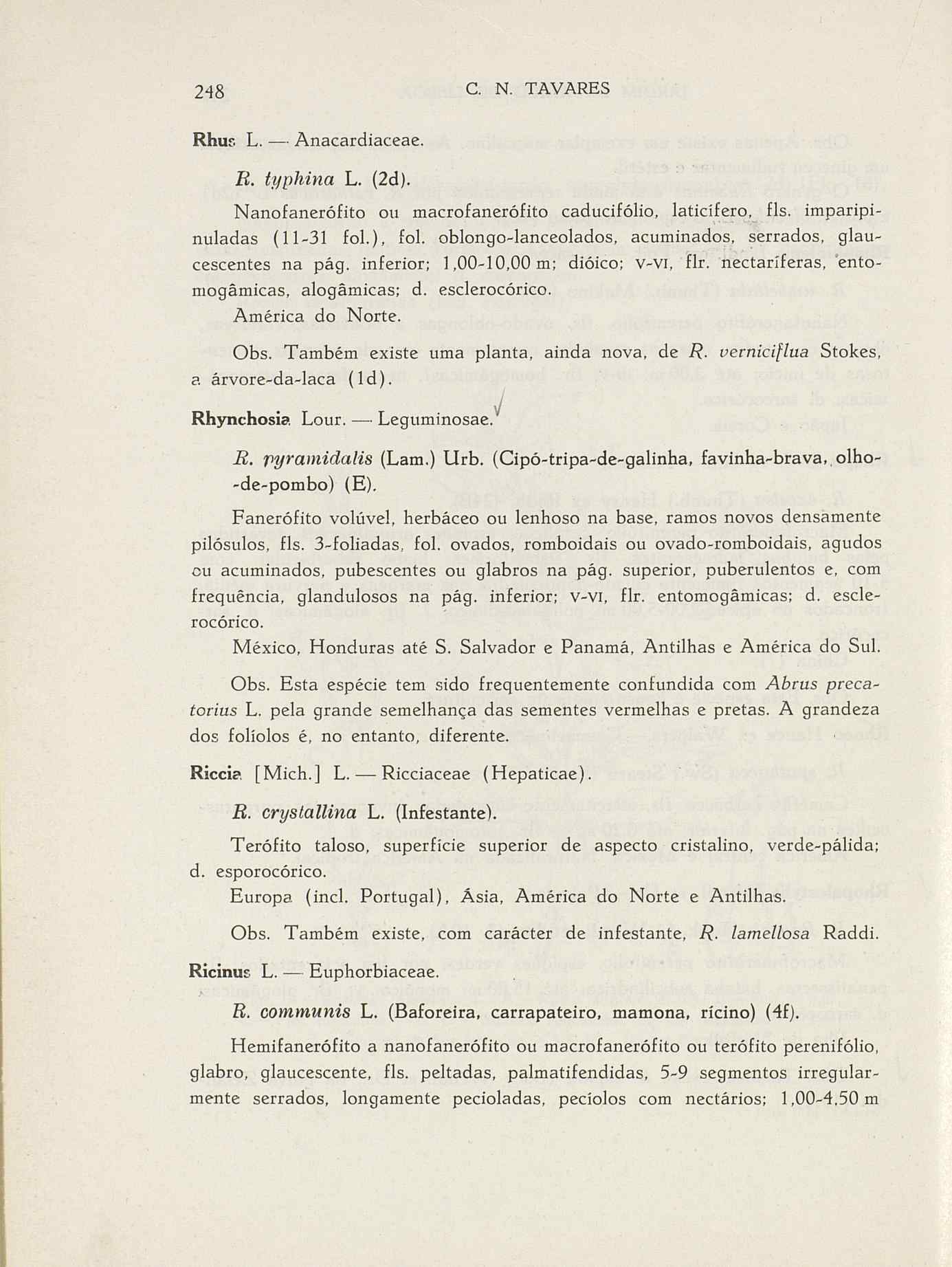 07485.004.001- pag.275