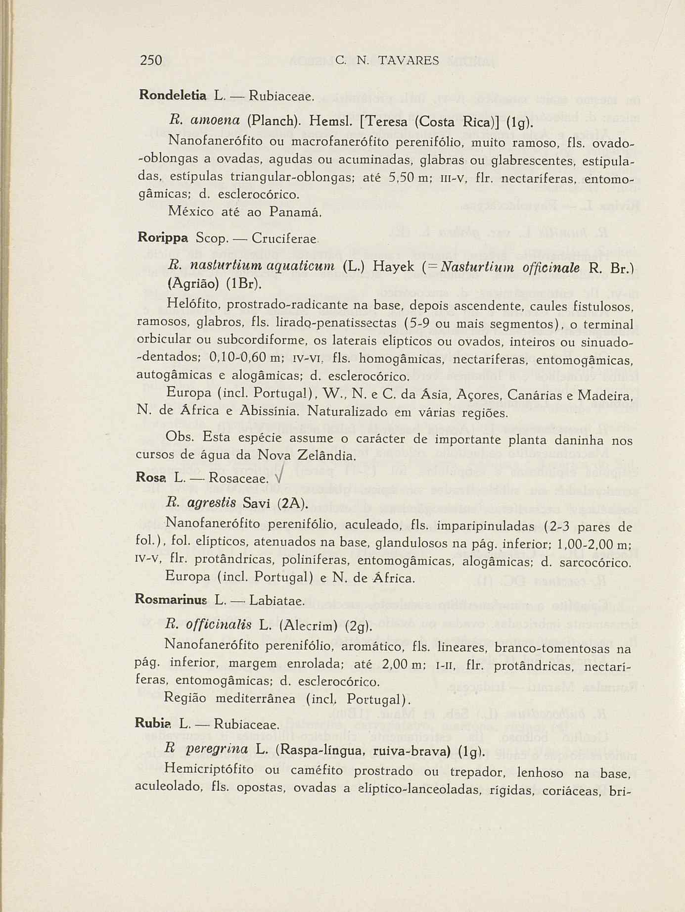 07485.004.001- pag.277