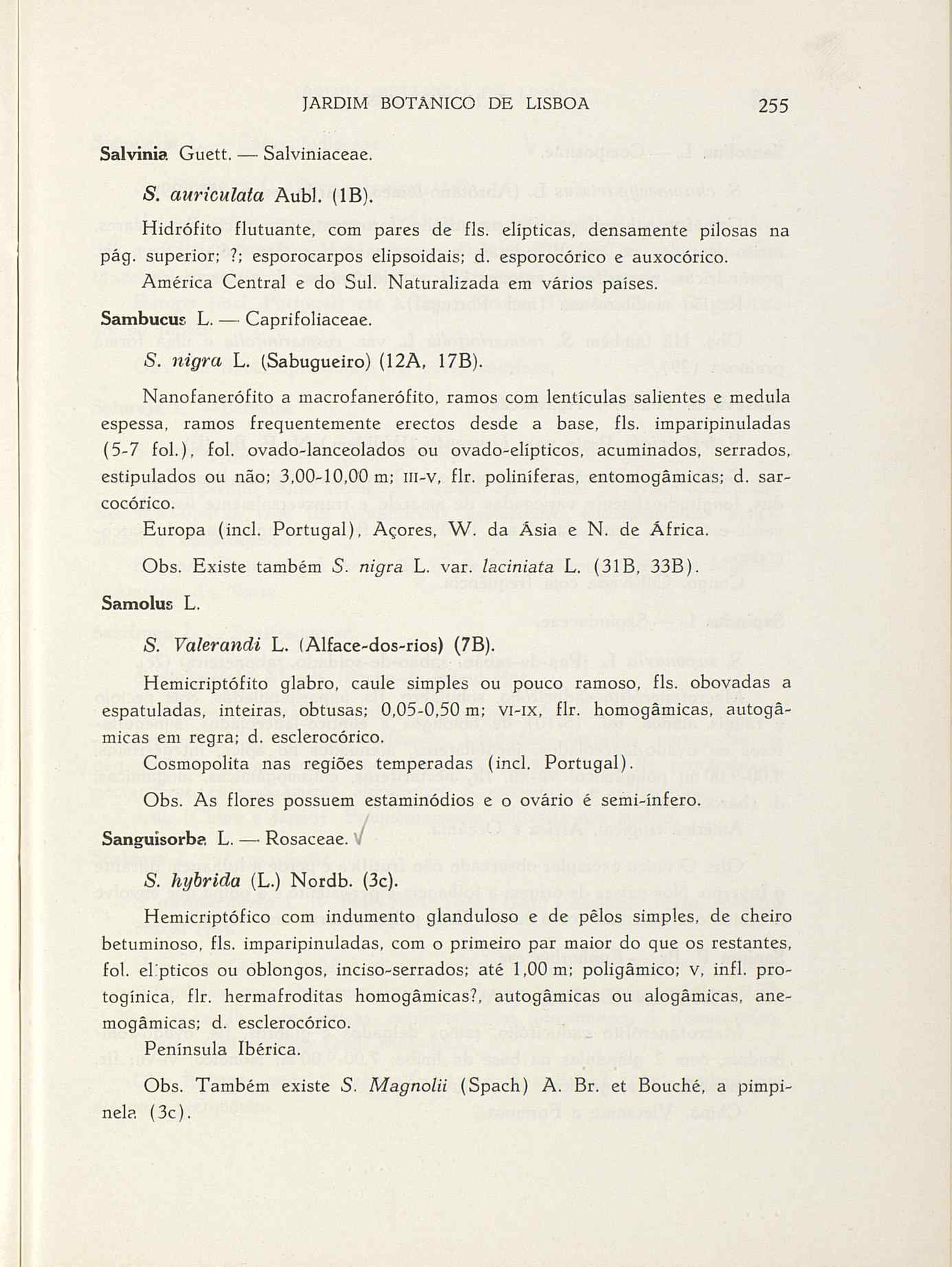 07485.004.001- pag.282