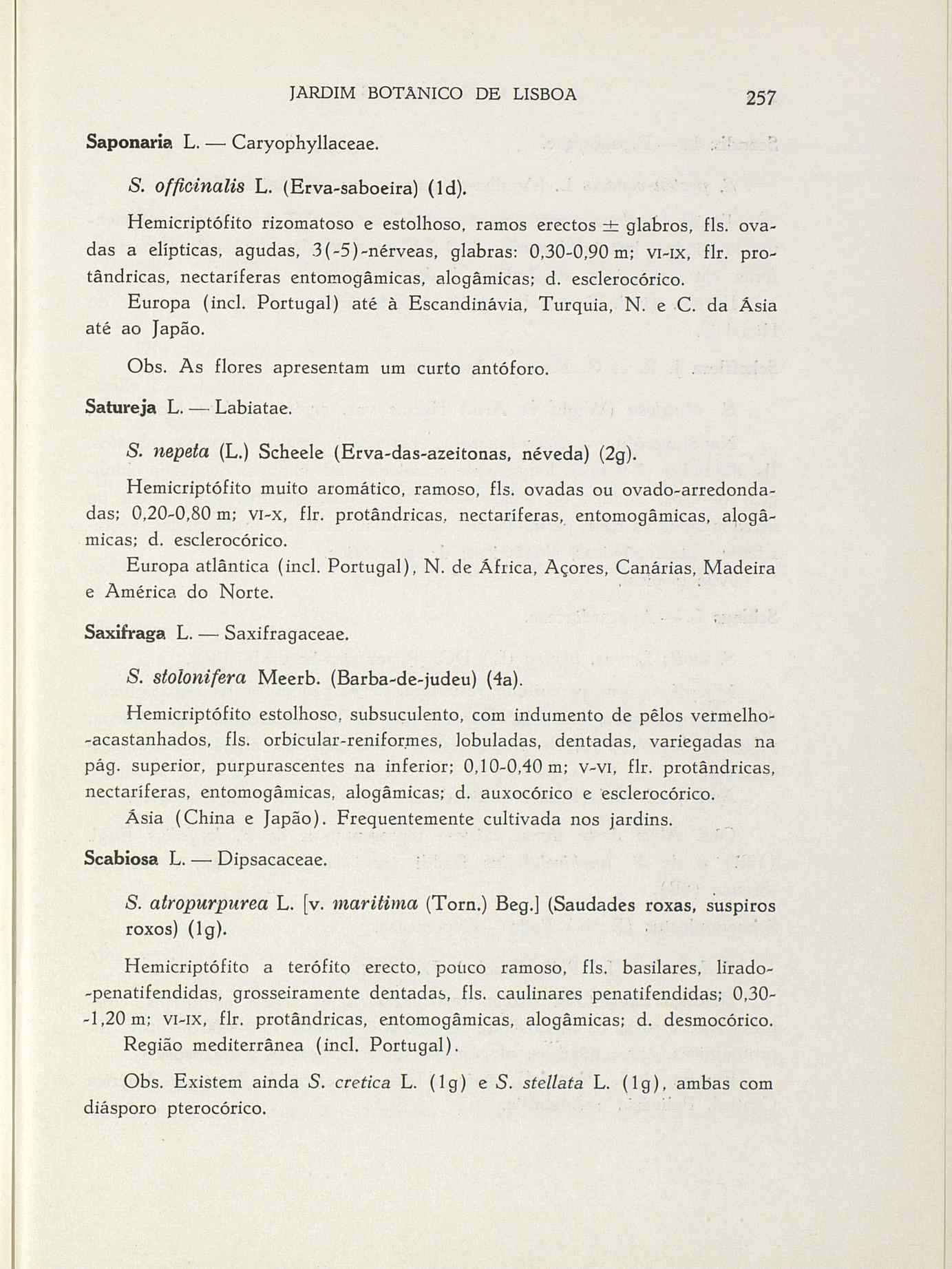 07485.004.001- pag.284