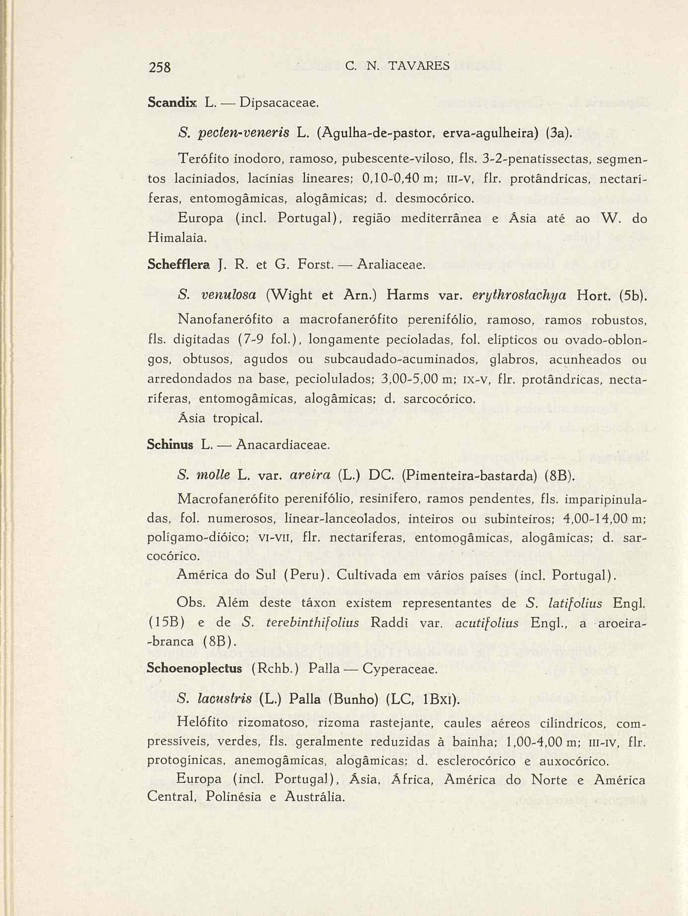 07485.004.001- pag.285