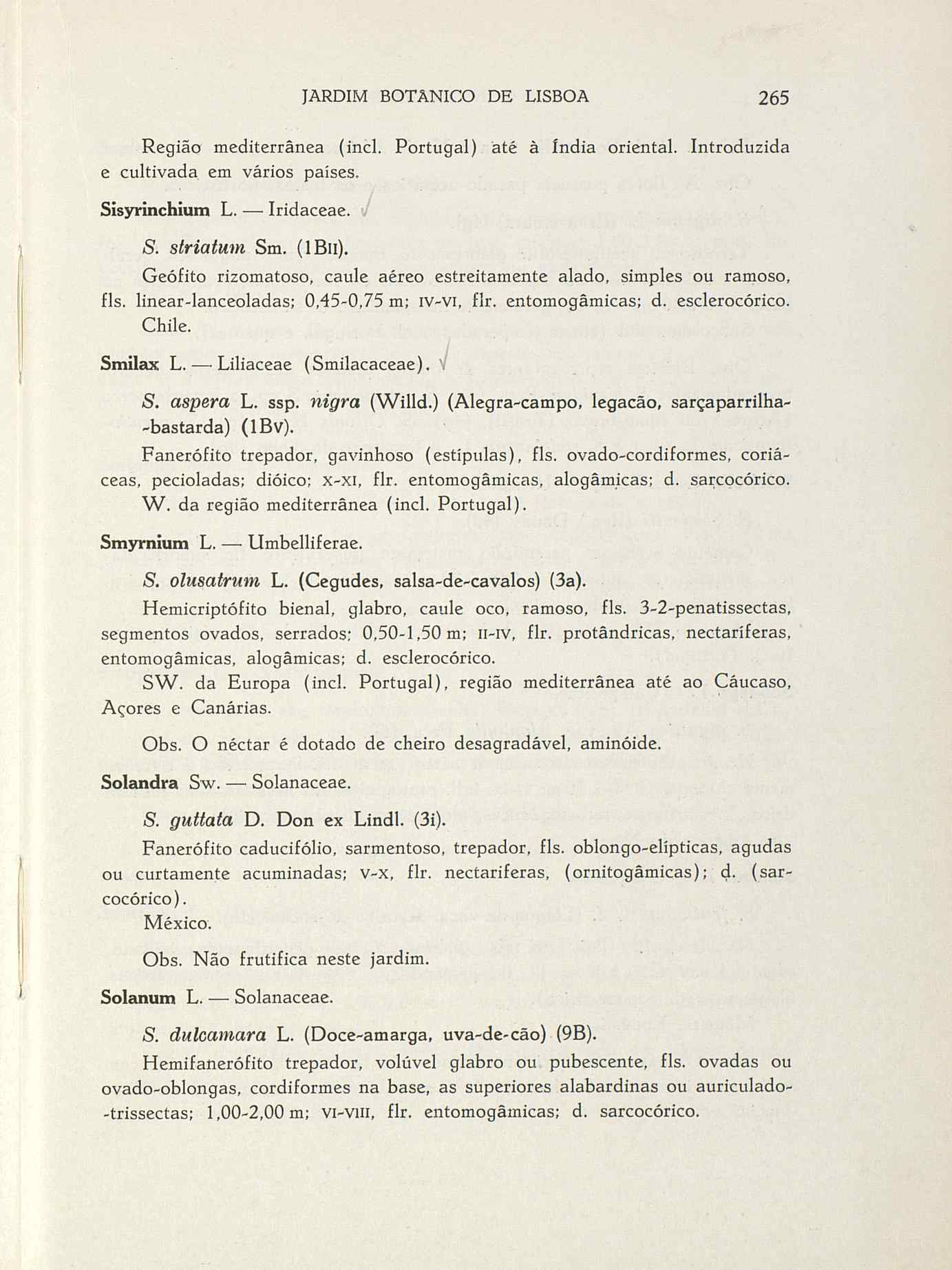 07485.004.001- pag.292