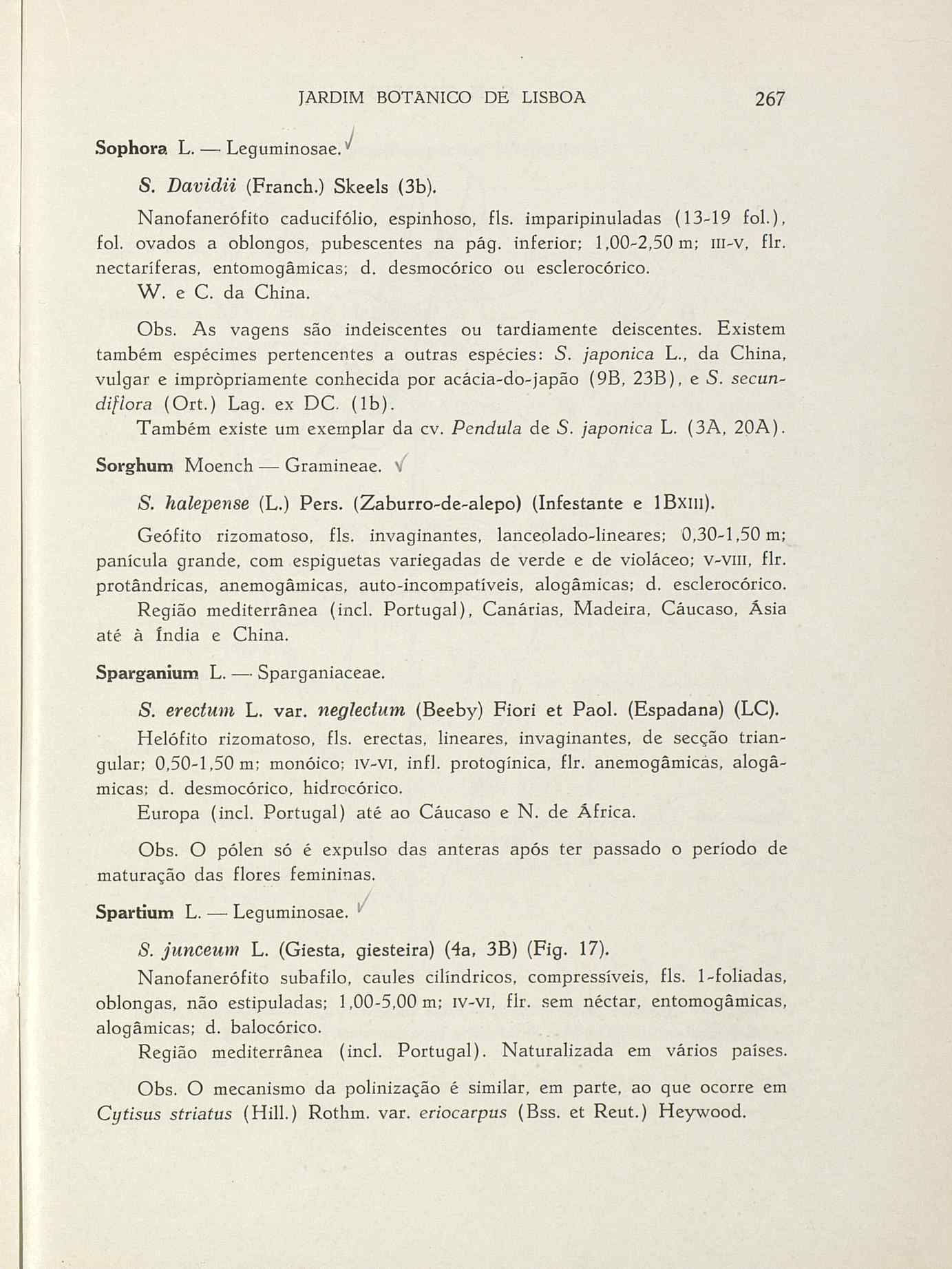 07485.004.001- pag.294