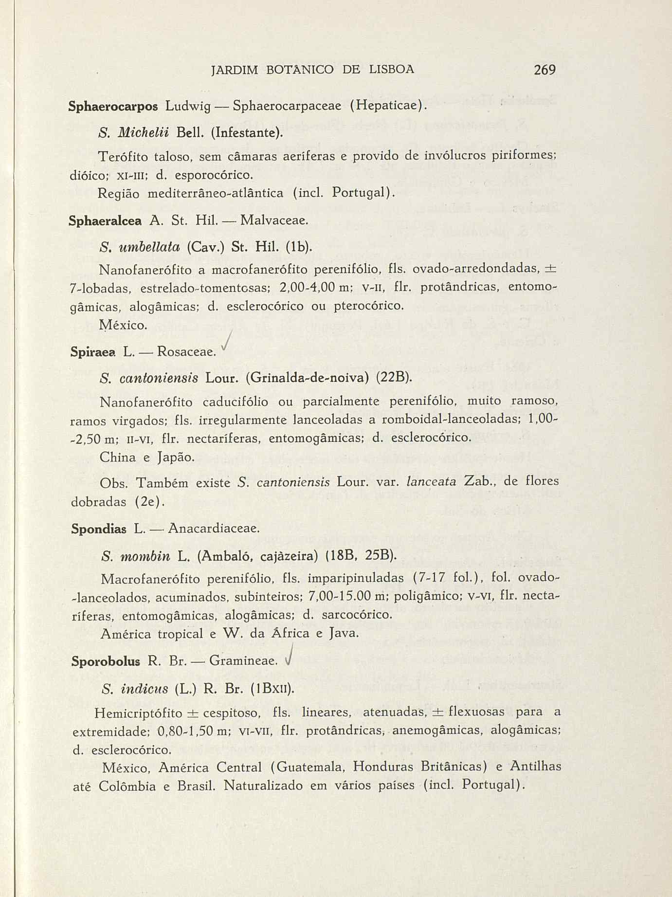 07485.004.001- pag.296