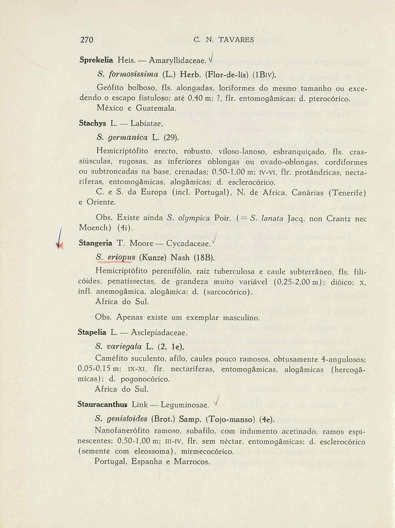 07485.004.001- pag.297