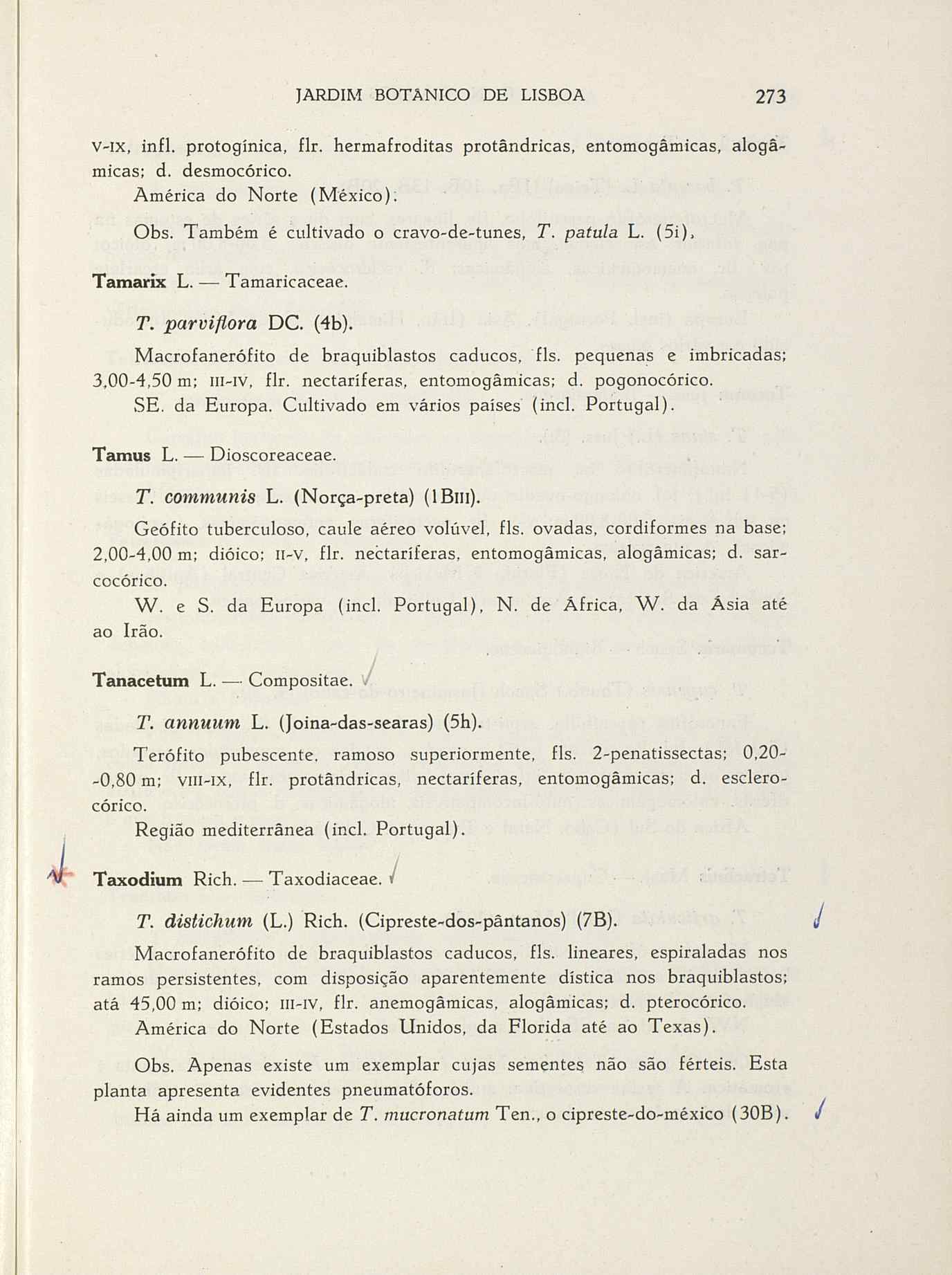 07485.004.001- pag.300