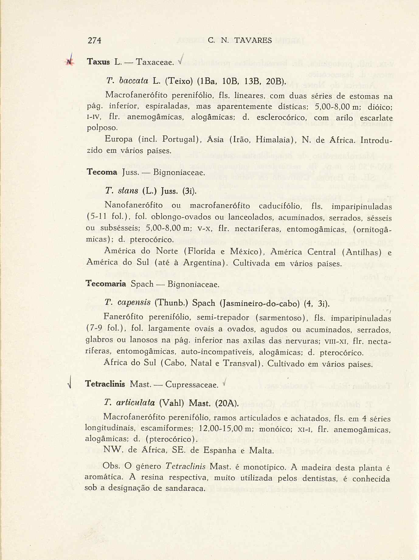 07485.004.001- pag.301