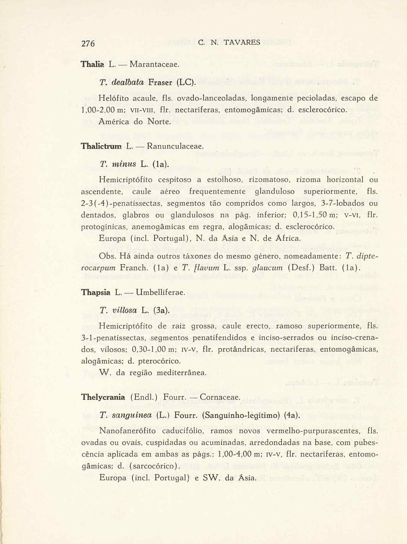 07485.004.001- pag.303