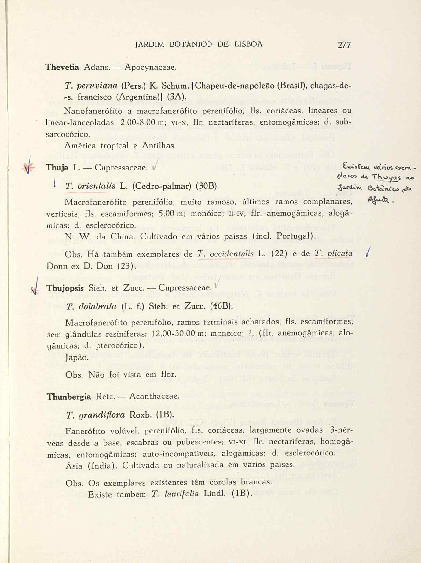 07485.004.001- pag.304