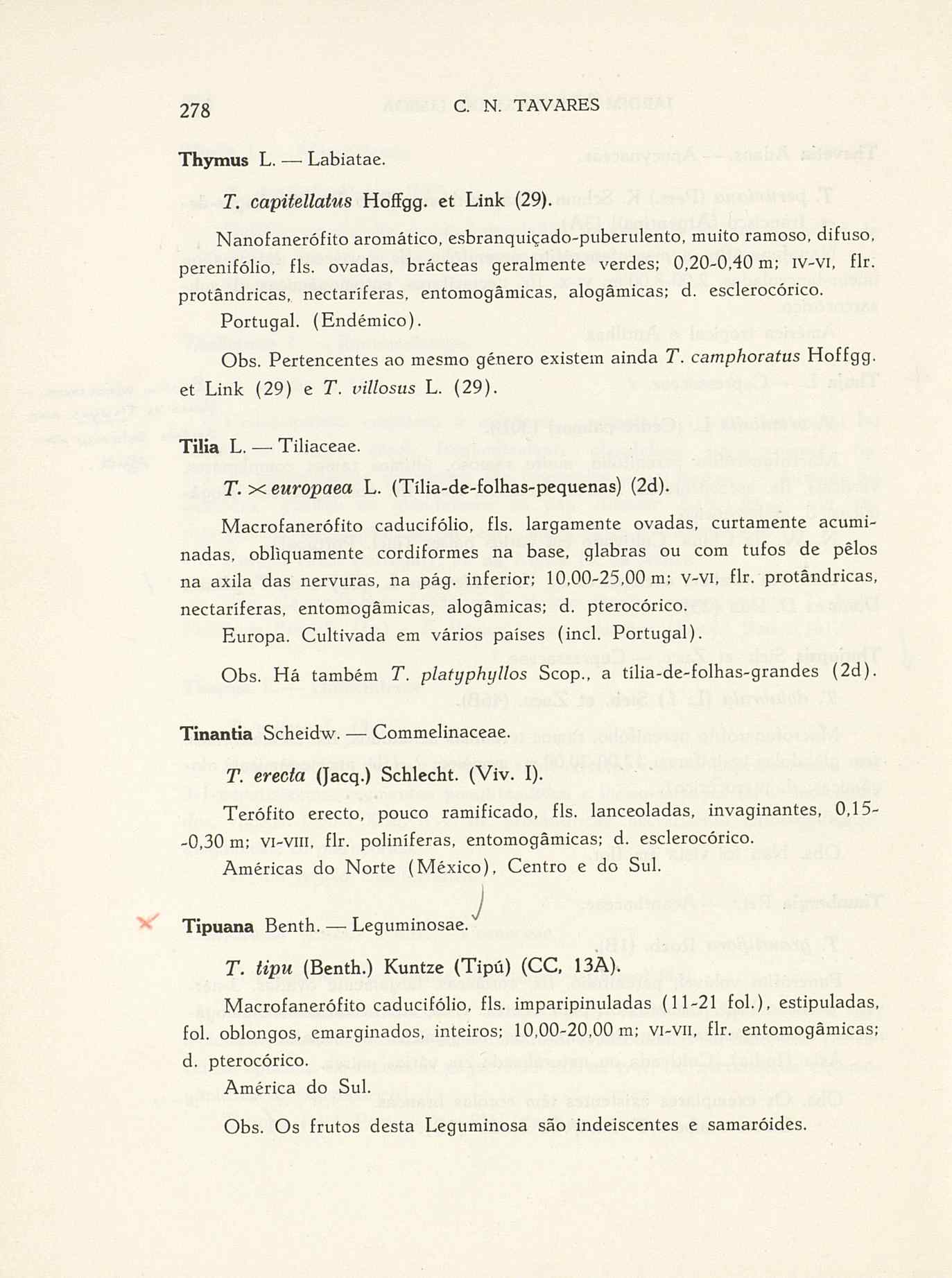 07485.004.001- pag.305