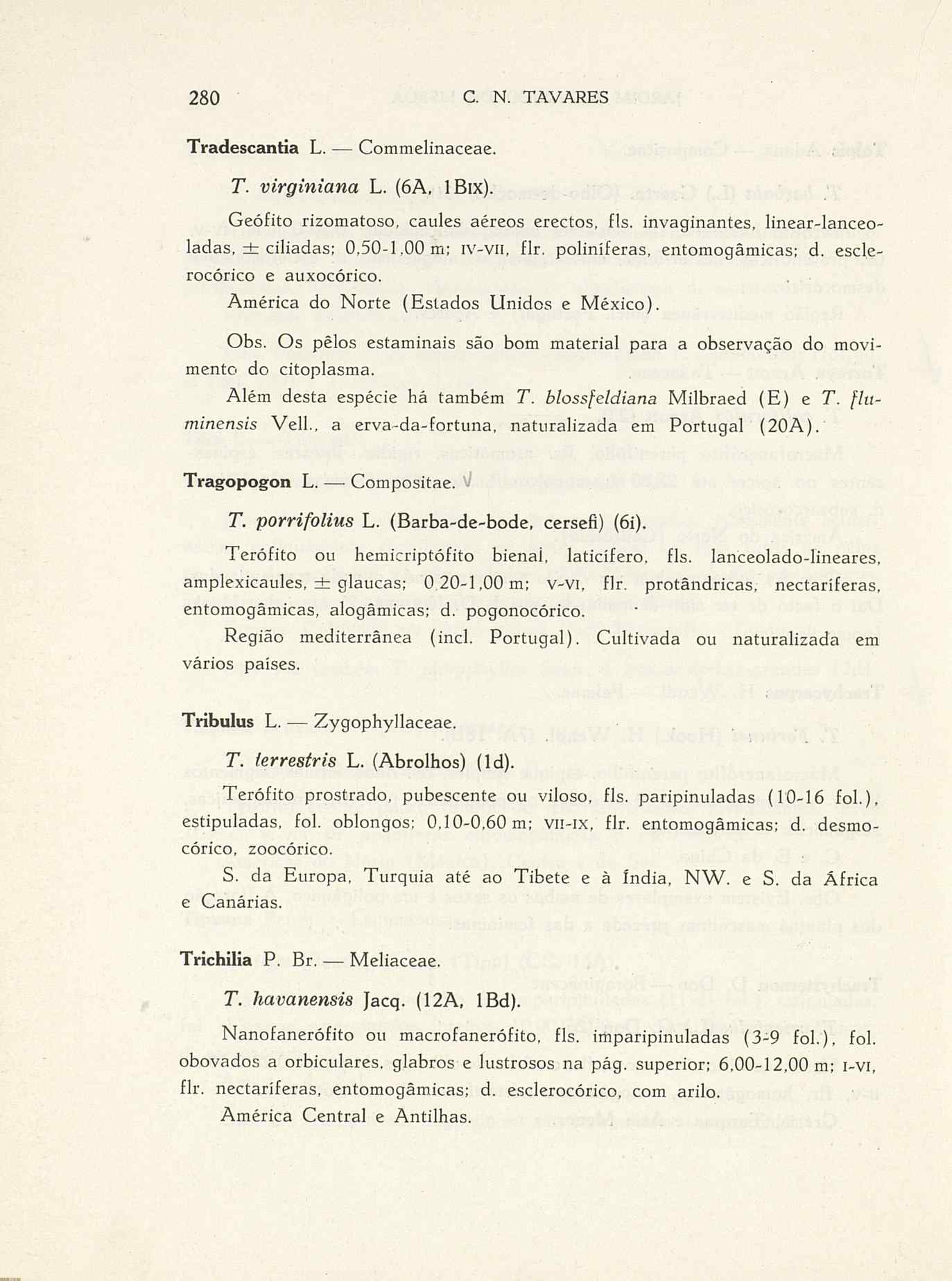 07485.004.001- pag.307