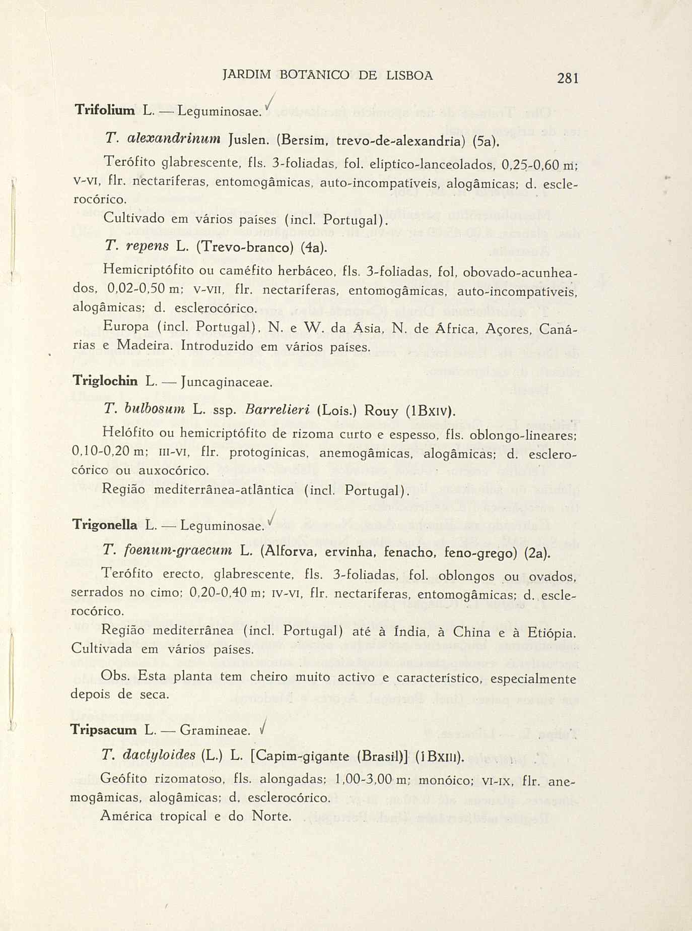 07485.004.001- pag.308