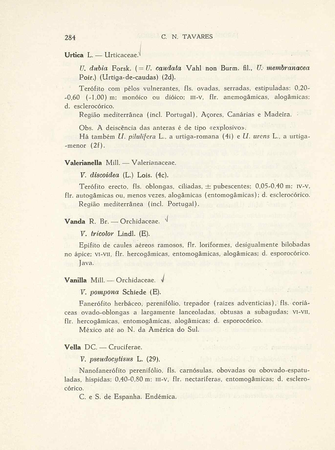 07485.004.001- pag.311