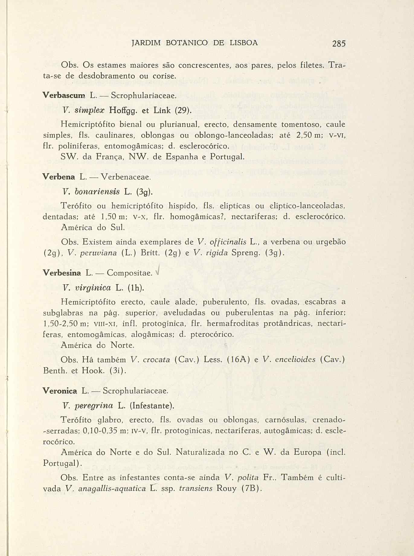 07485.004.001- pag.312