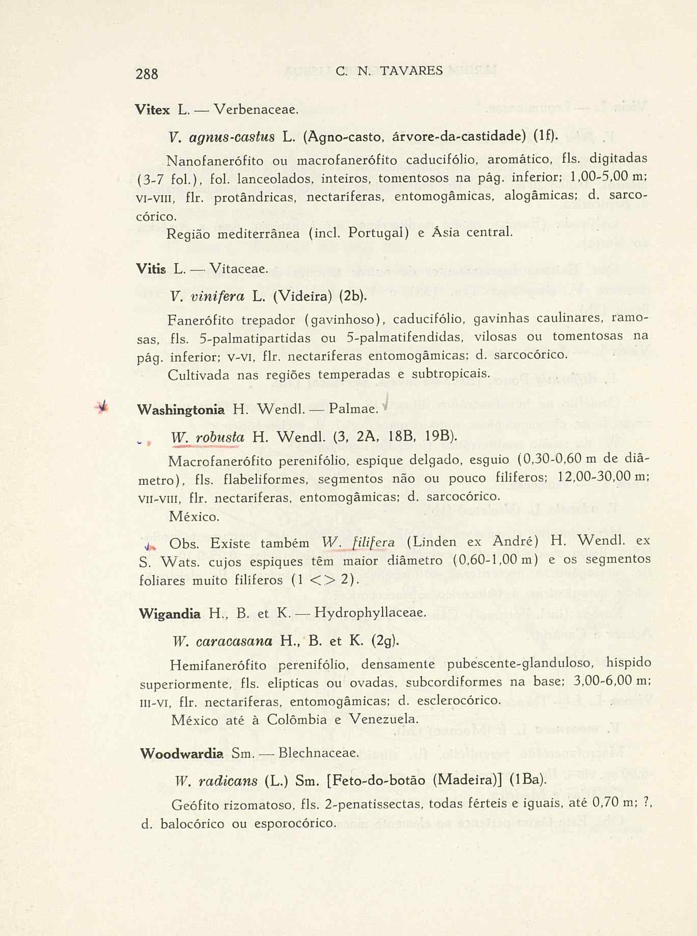 07485.004.001- pag.315