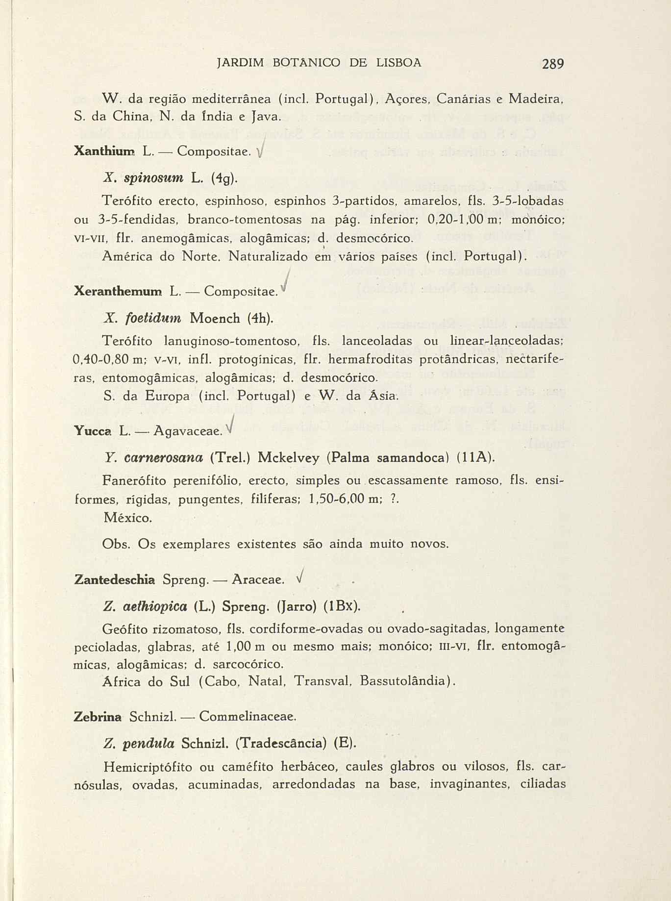 07485.004.001- pag.316