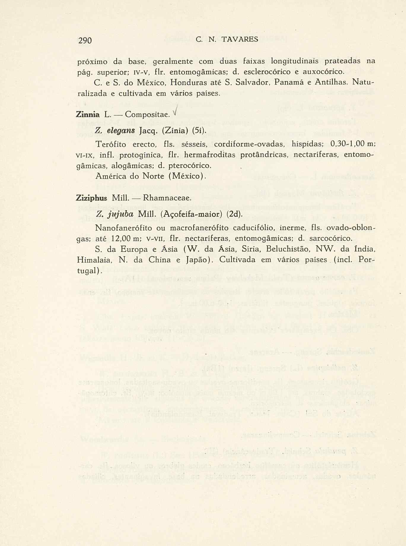 07485.004.001- pag.317