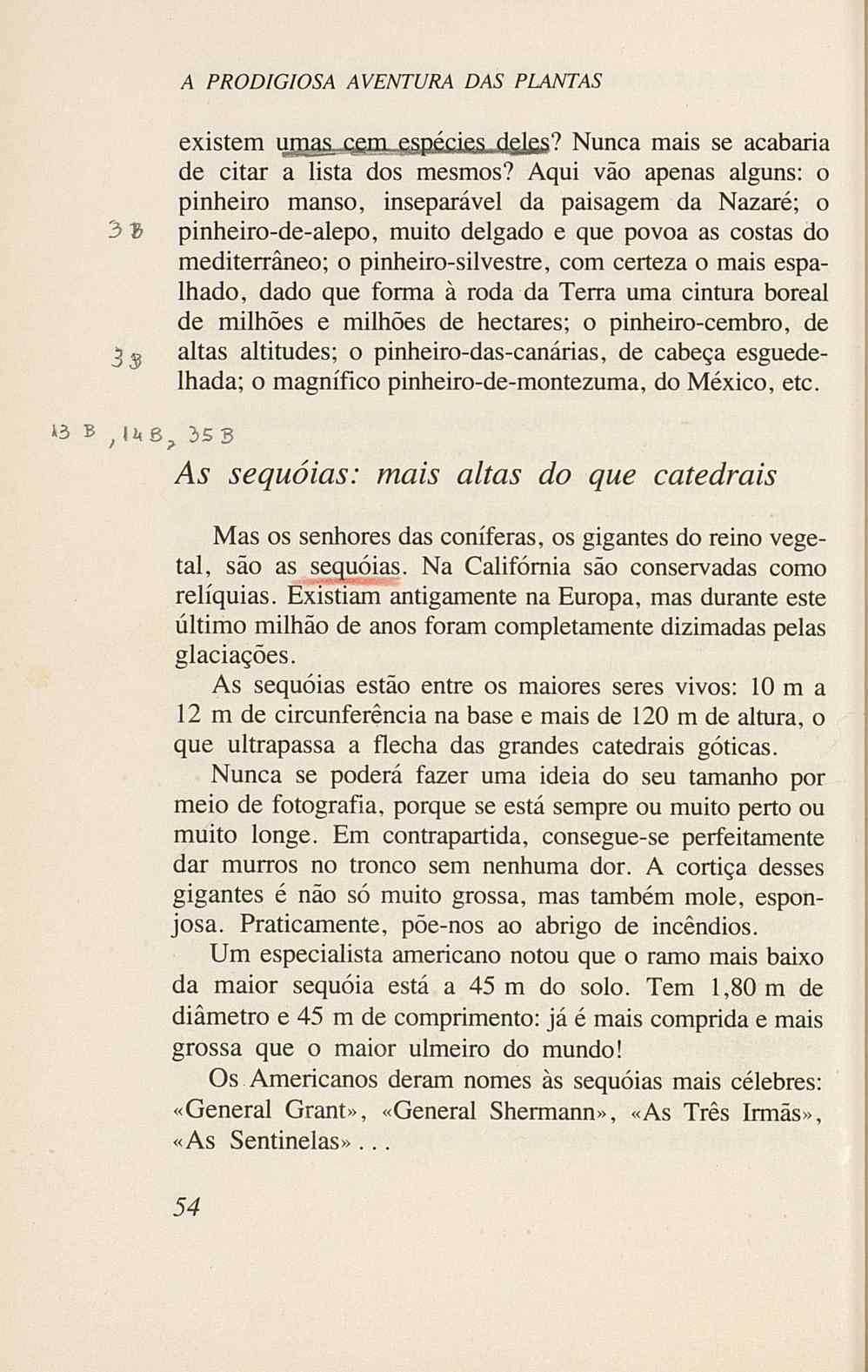 07485.005.001- pag.56