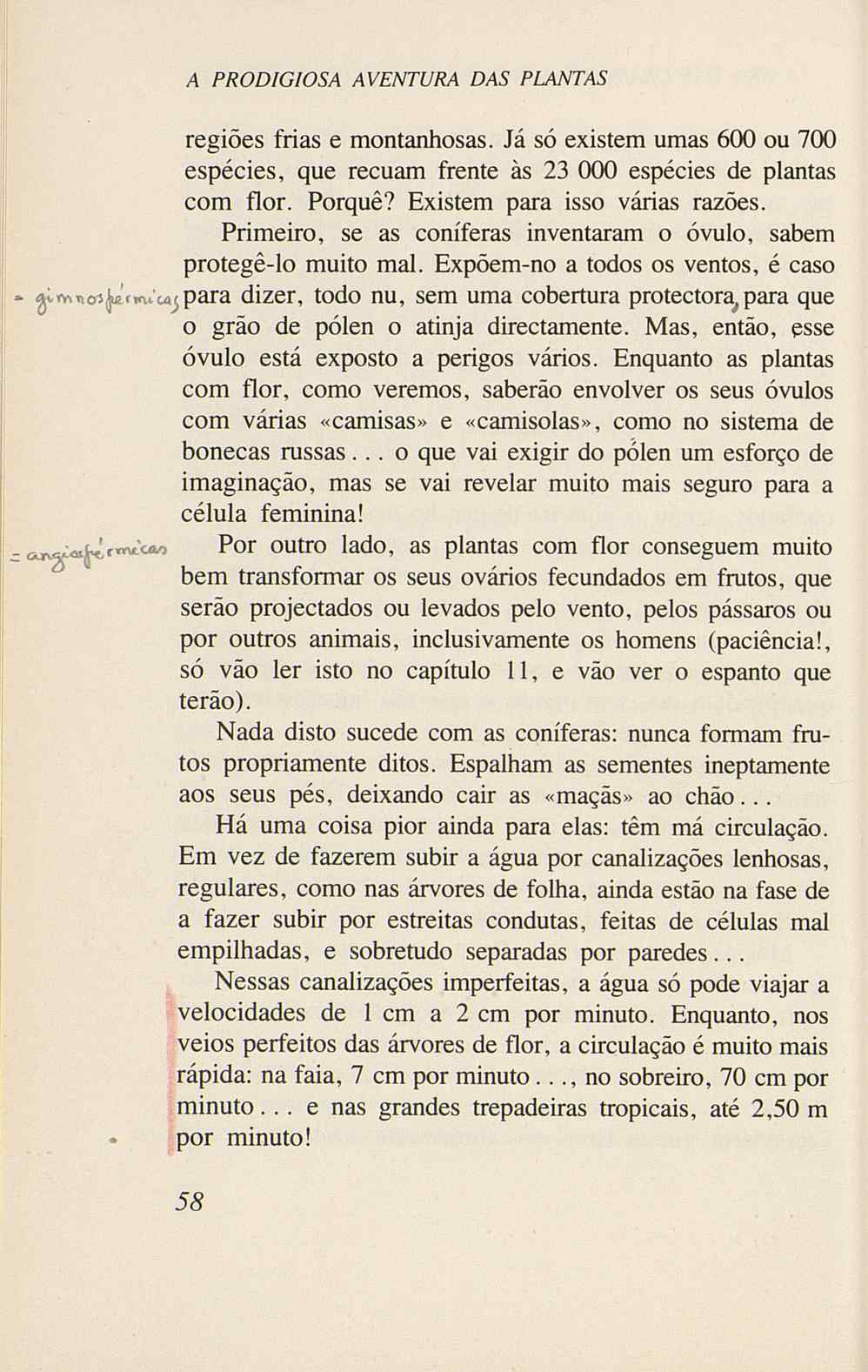 07485.005.001- pag.60