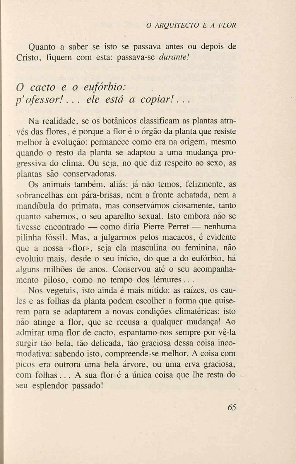 07485.005.001- pag.67
