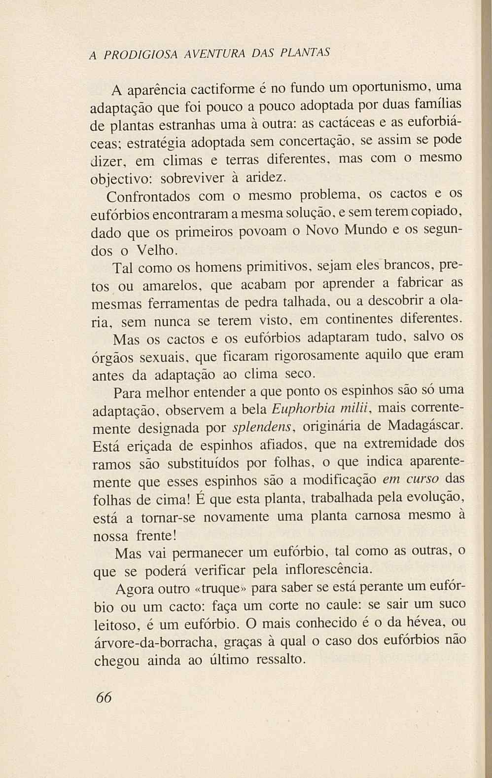 07485.005.001- pag.68