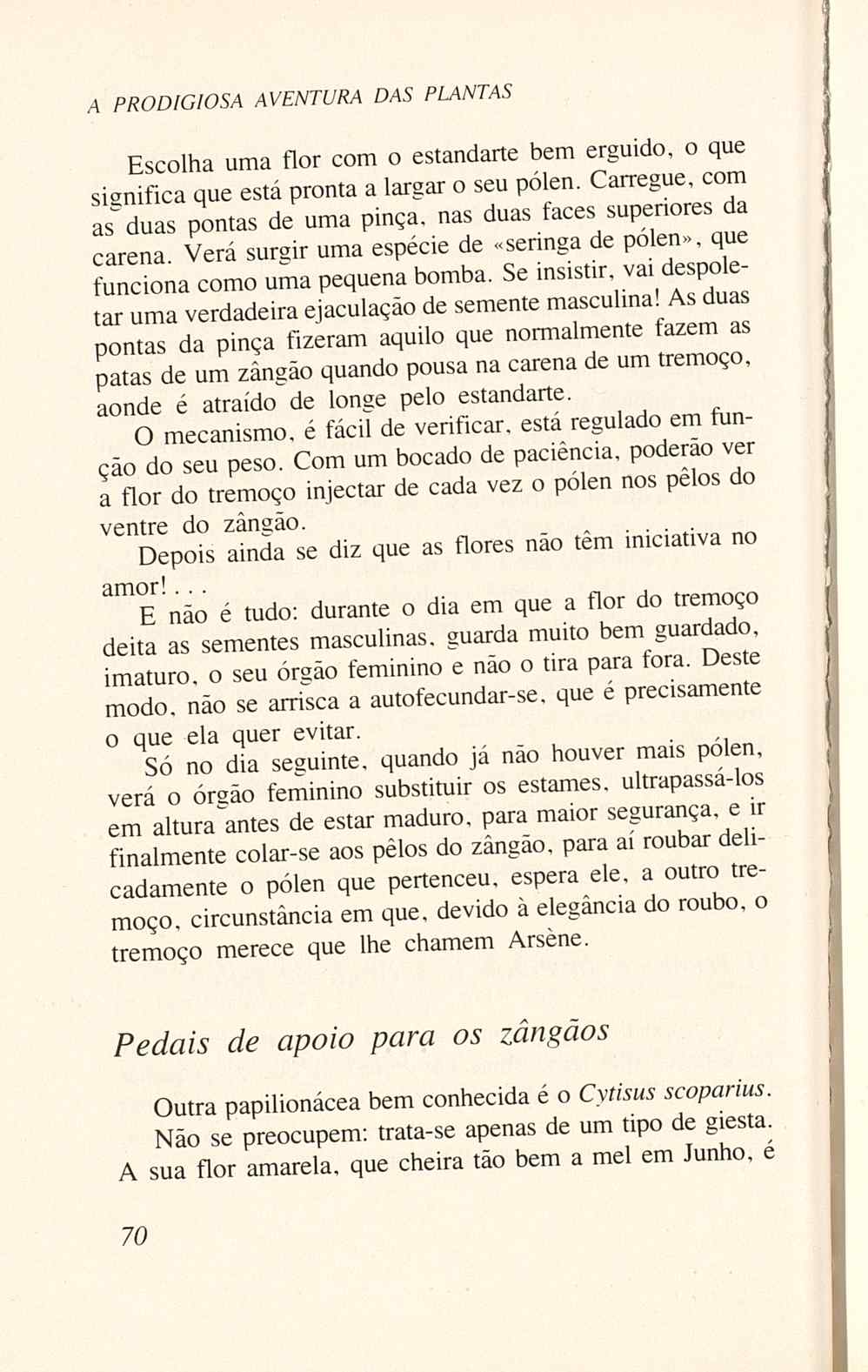 07485.005.001- pag.72