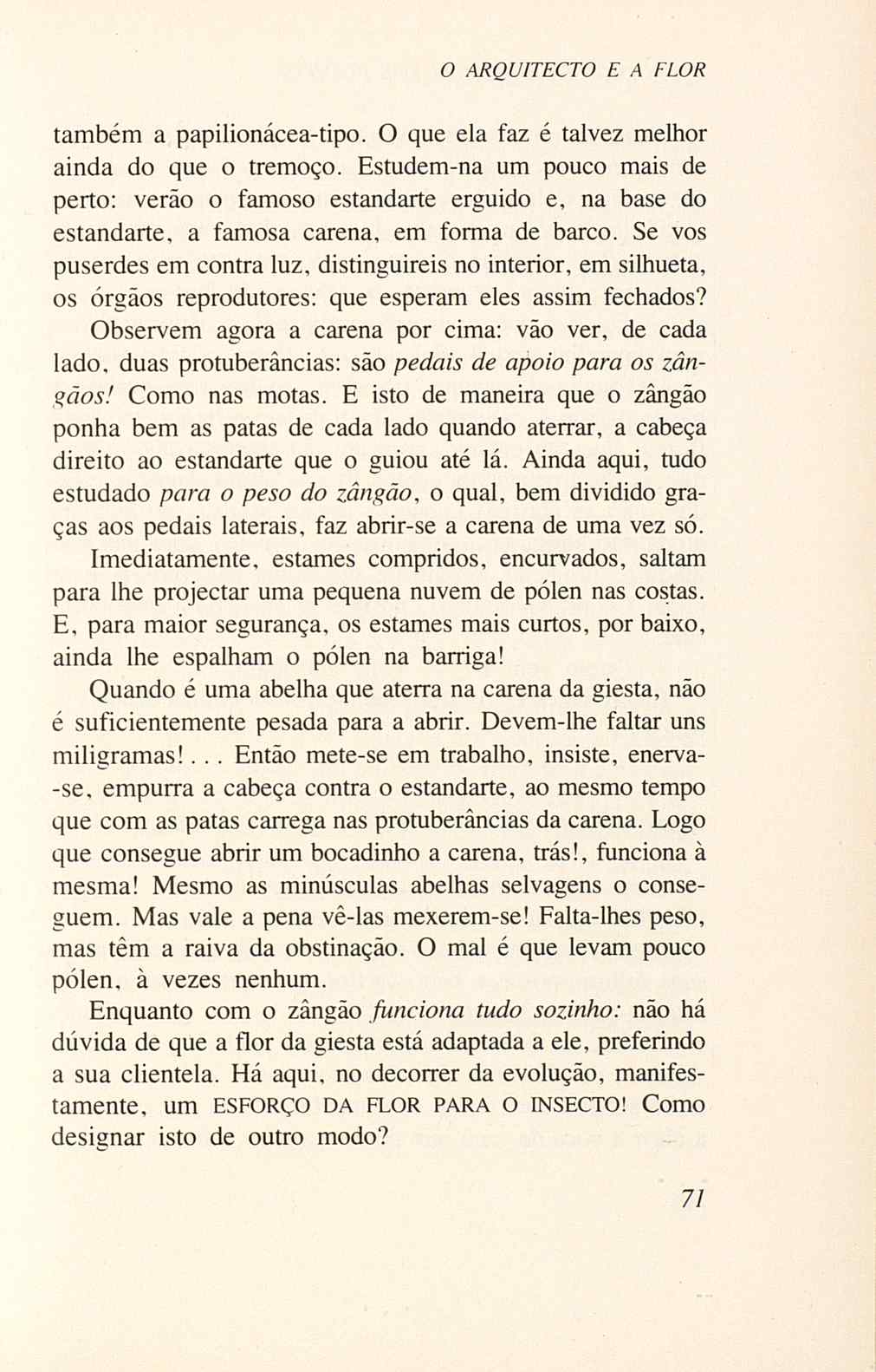 07485.005.001- pag.73