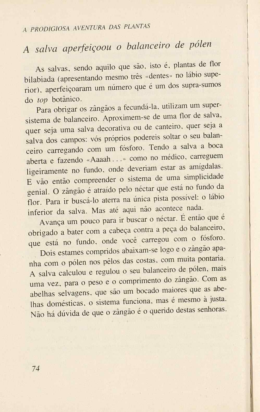 07485.005.001- pag.76