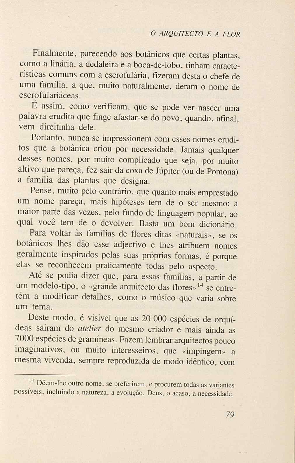 07485.005.001- pag.81