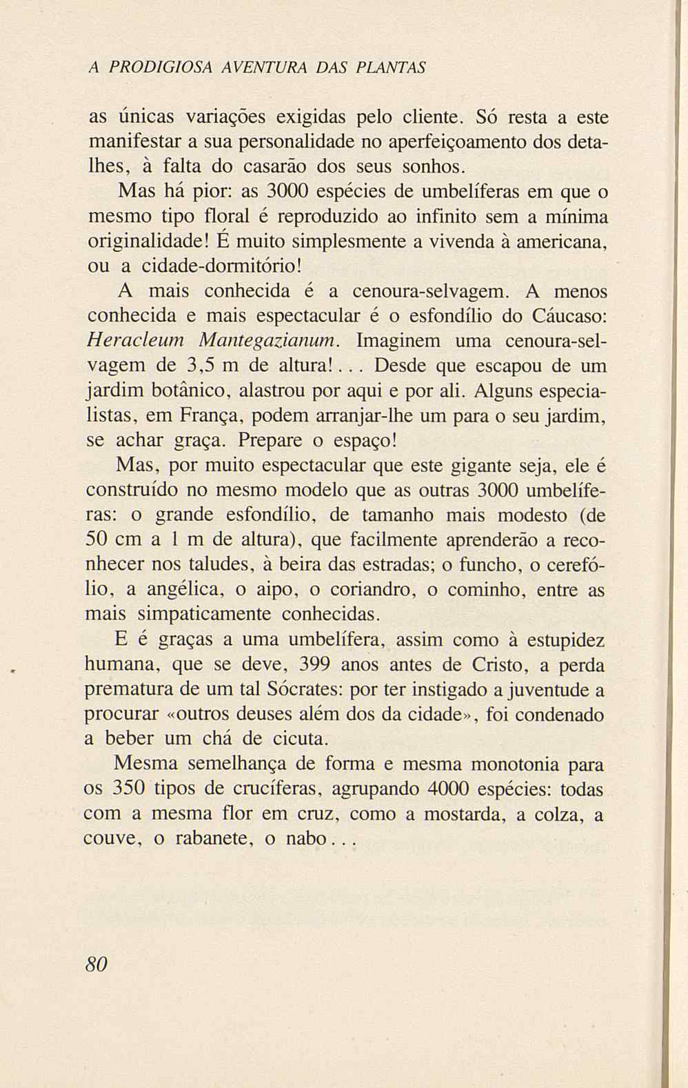 07485.005.001- pag.82
