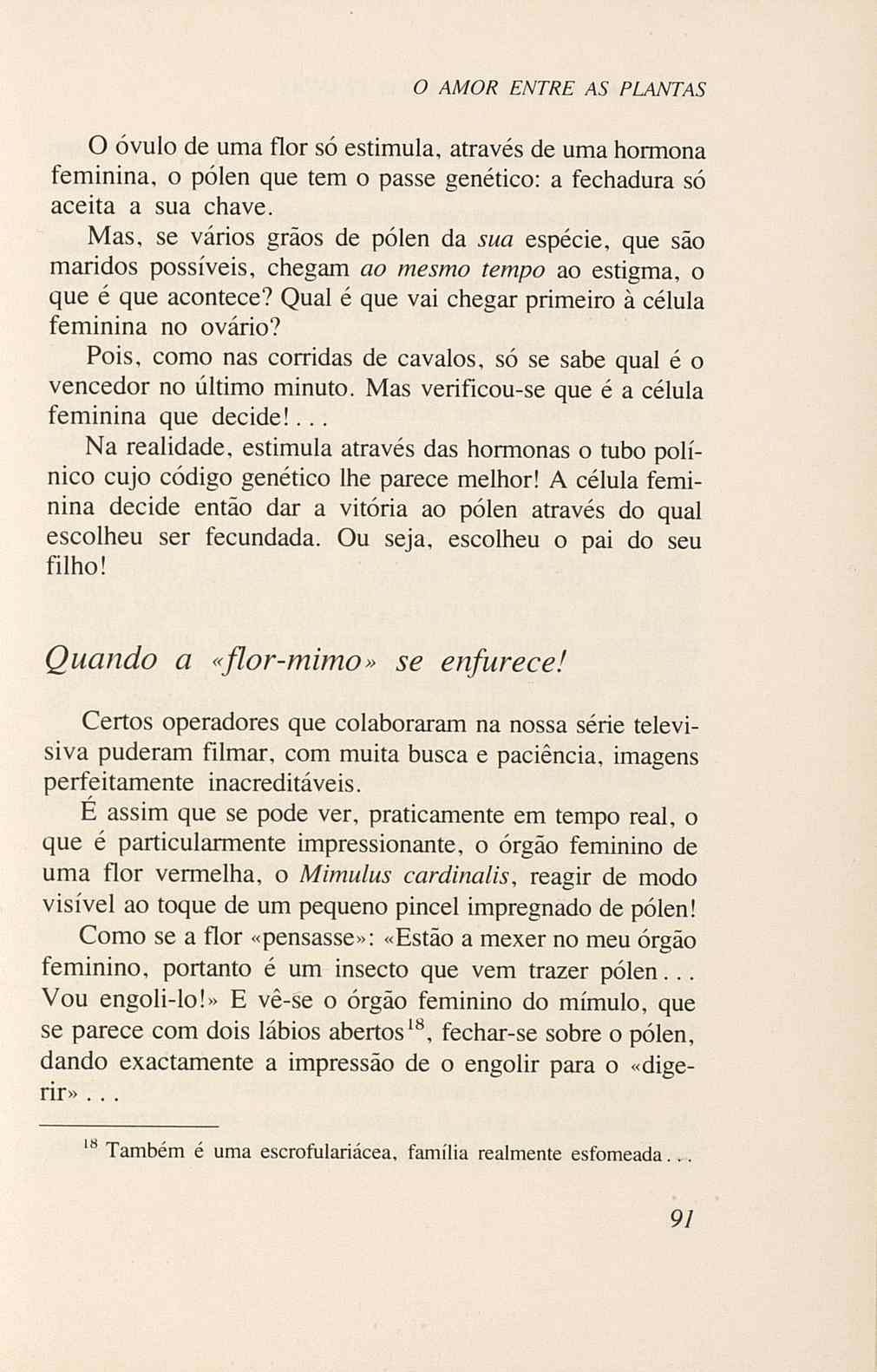 07485.005.001- pag.93