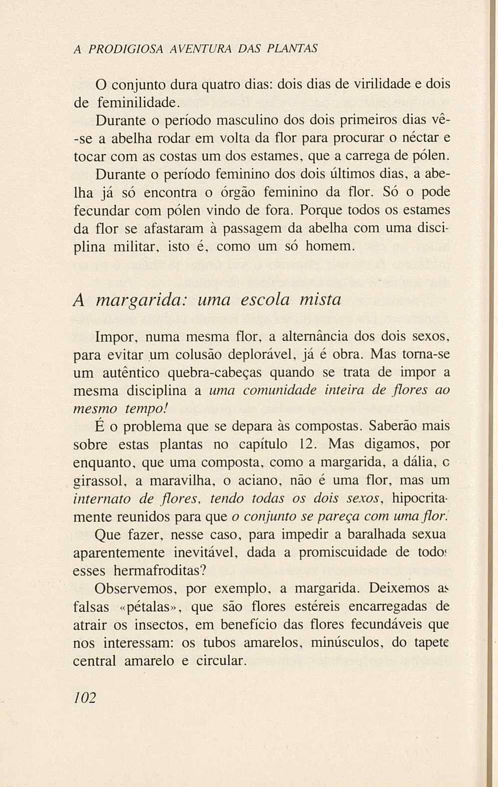 07485.005.001- pag.104