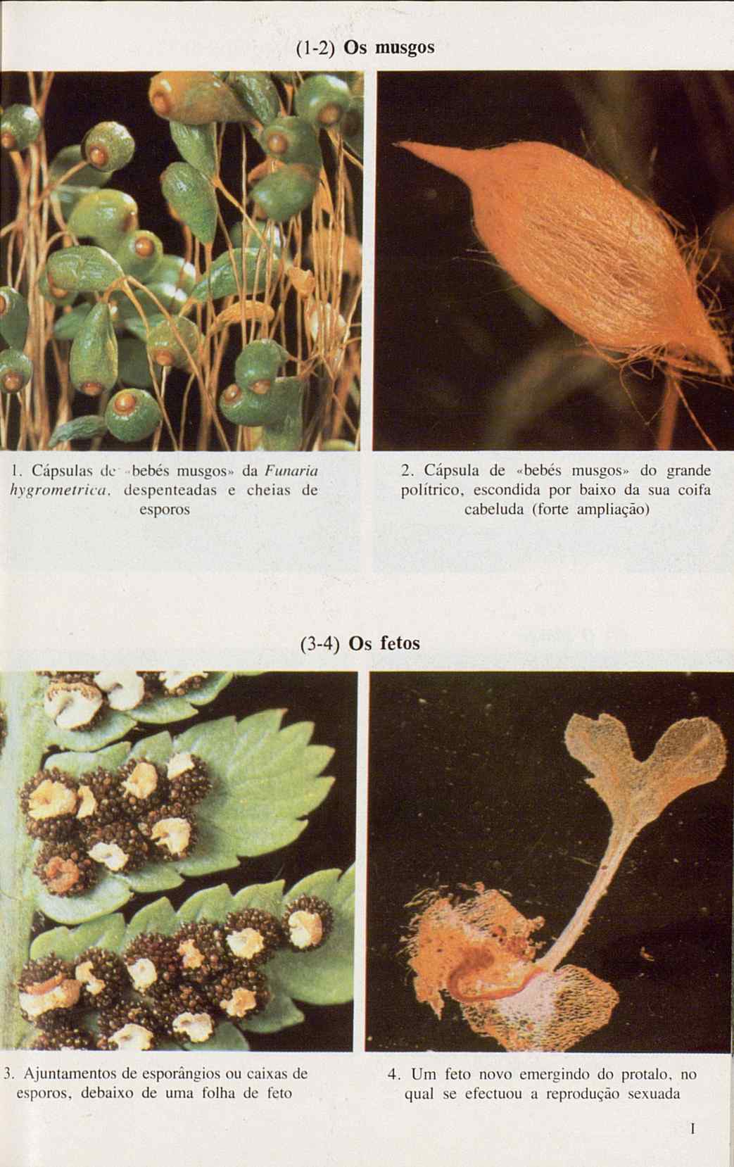 07485.005.001- pag.115