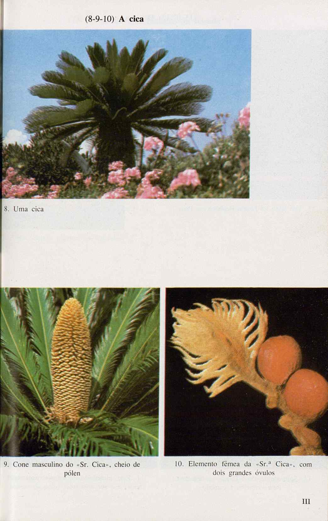 07485.005.001- pag.117