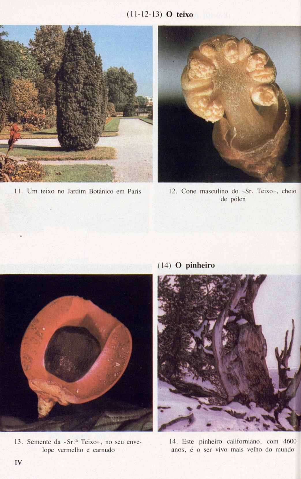 07485.005.001- pag.118