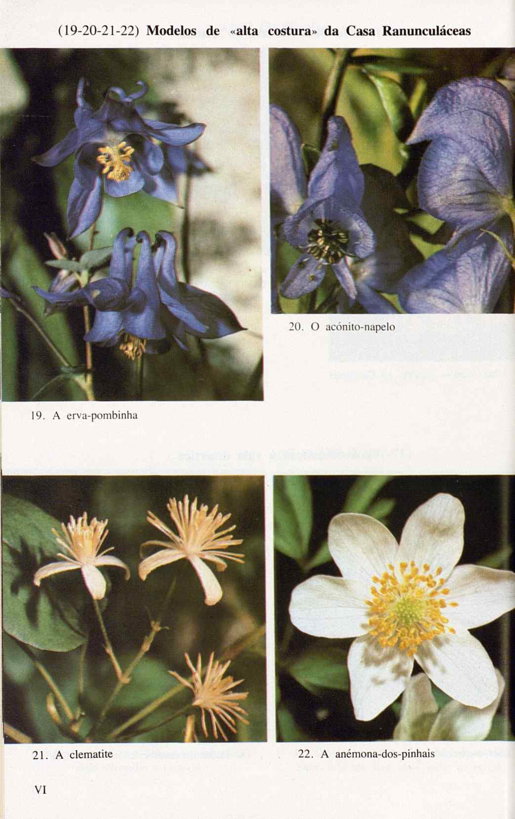 07485.005.001- pag.120