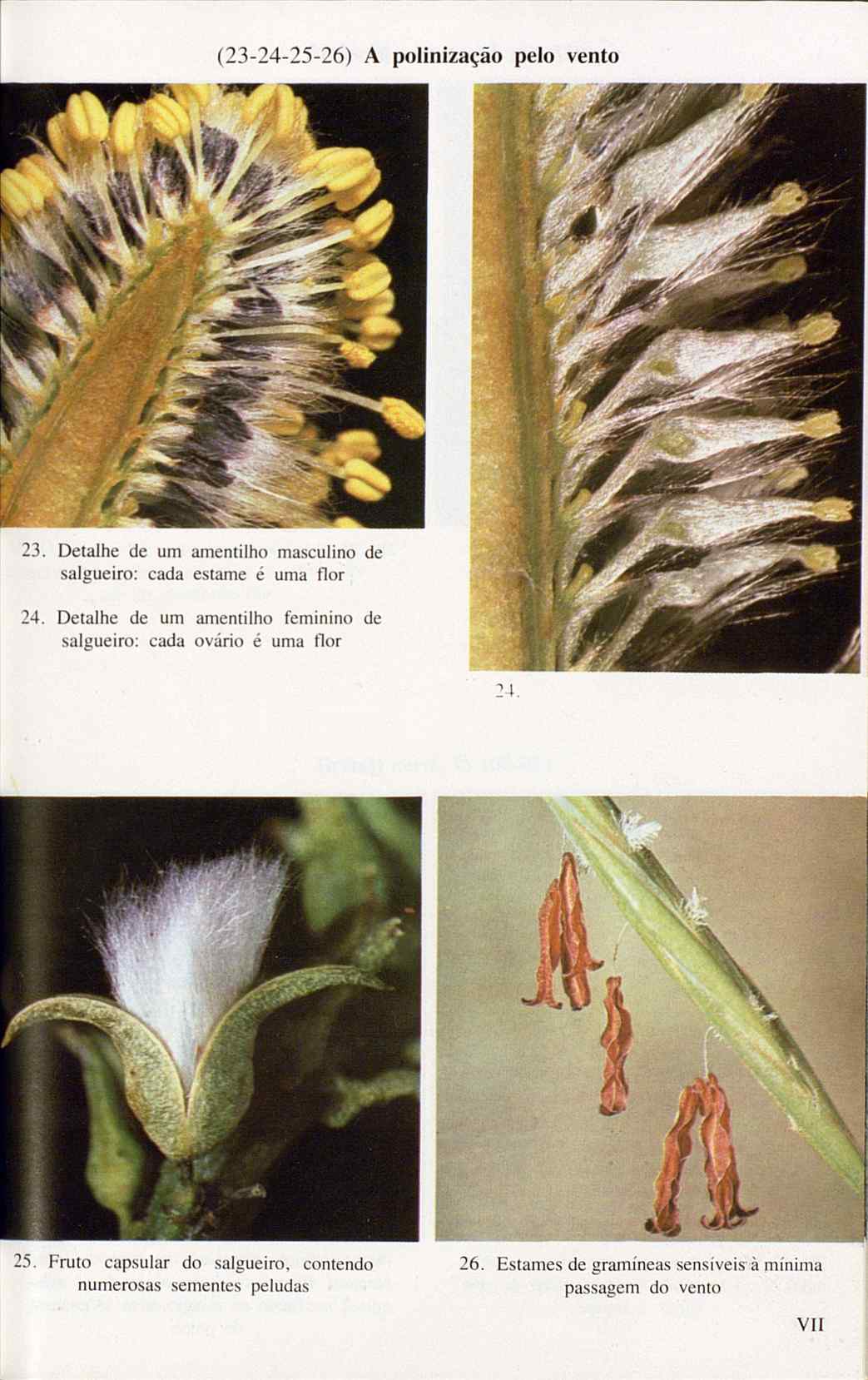 07485.005.001- pag.121