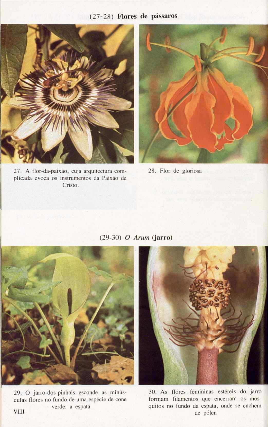 07485.005.001- pag.122