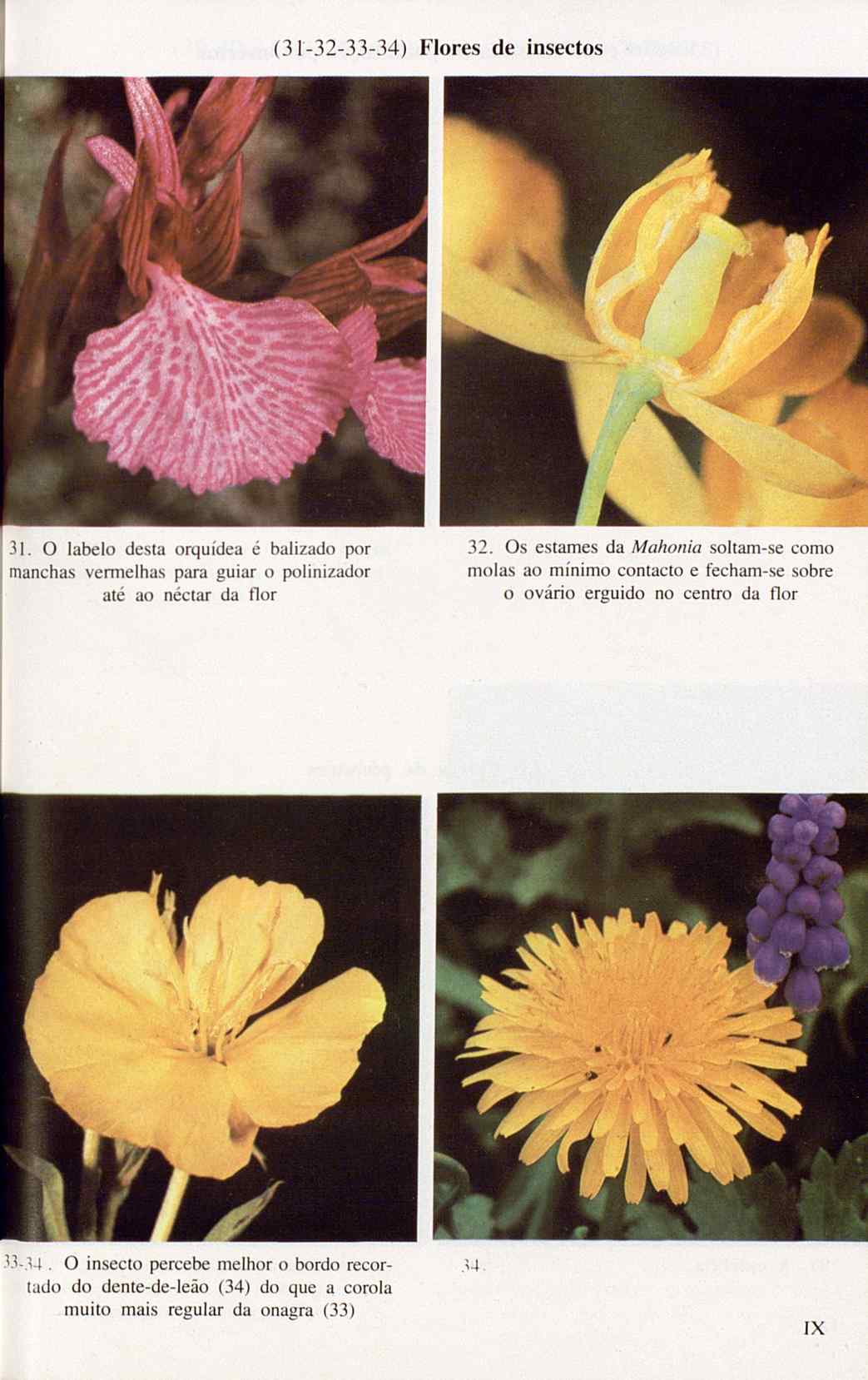 07485.005.001- pag.123